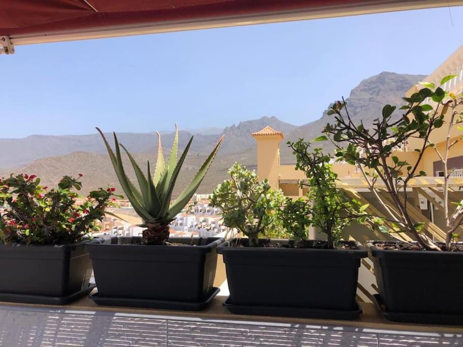 Apartamento Con Impresionantes Vistas Y Piscina Адехе Екстериор снимка