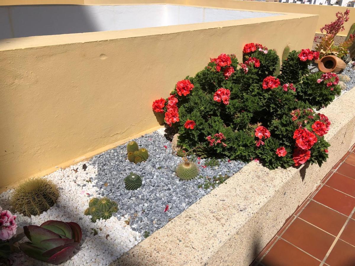 Apartamento Con Impresionantes Vistas Y Piscina Адехе Екстериор снимка